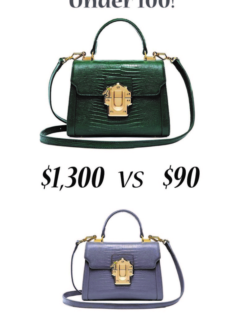 Incredible Dolce & Gabbana Lucia Bag Dupes Under $100!